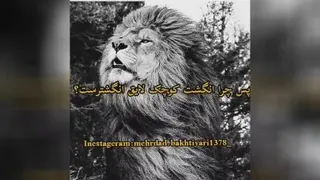 حرف حساب