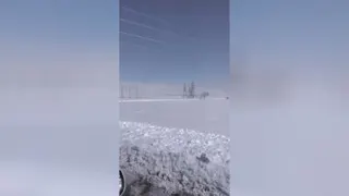برف برف