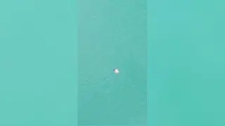 مرگ جوان 22 ساله