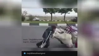 پدر یعنی عشق