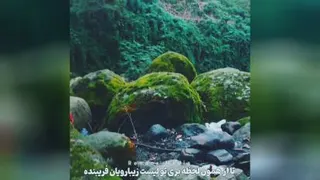 اصالت