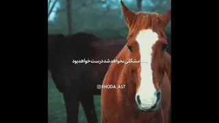 دست بالای دست