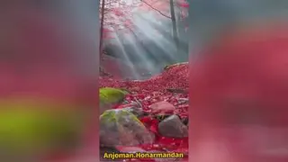 موسیقی 8 بعدی