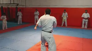مبارزه آموزشی شیهان ابوالفضل هراسی و حمید نادری - کیکوشین