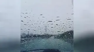 فقط خدا