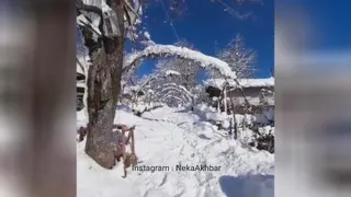 عاقبت چه خواهد شد,,,