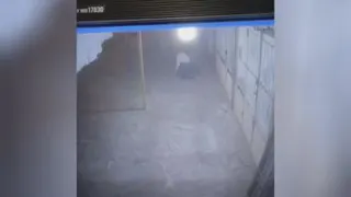 حمله گرگ