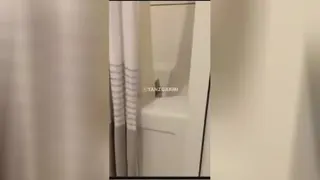 از دست این گربه ها😅