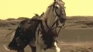 دنیای من اقای من