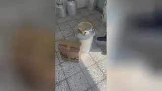 نمایندگی دستگاه گلاب گیری و آب مقطر