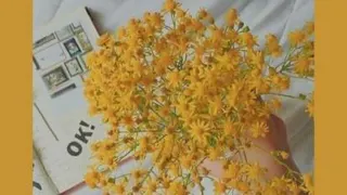 دیدی آخرشم