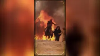 وقتی ام البنین را به خانه علی اوردند