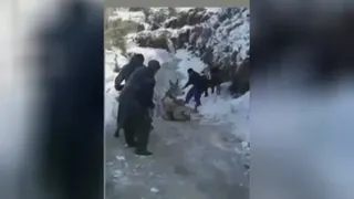 سرخوردن الاغ روی یخ