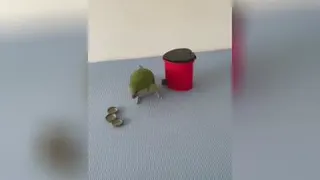 فیلم