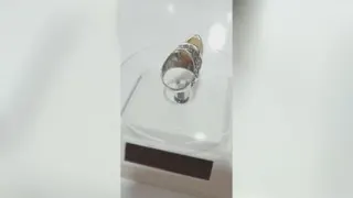 انگشتر