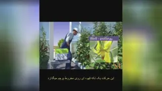 مشاوره گلخانه هیدروپونیک
