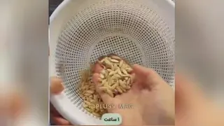 تخمه طالبی