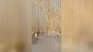 جایگاه عروس شیک و بروز