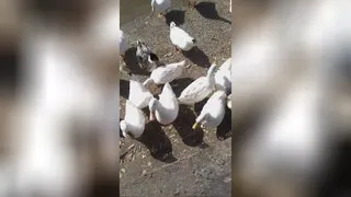 روز دختر با بابا رفتیم گردش