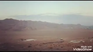 پرواز من در غروب زیبا