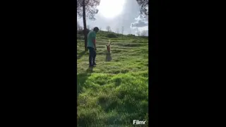 گردش روزانه فیدل