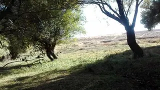 روستای چرخه بیان#سنندج