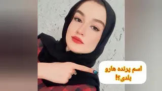 اسم پرنده هارو به انگلیسی بلدی؟