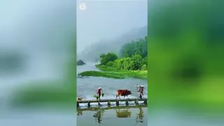 طبیعت بکر و زیبا