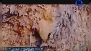 جاهای دیدنی ایران