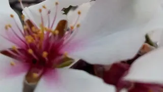 حال خوب🌿