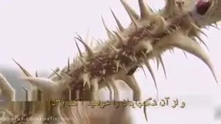 سوره واقعه