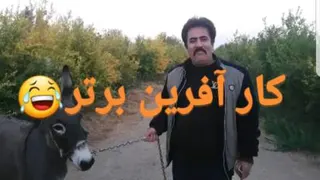 عنبرنسا گرون شده😂 خر (کار آفرین برتر)