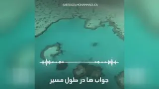 دعوت به همکاری