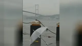 شاملو میگه...