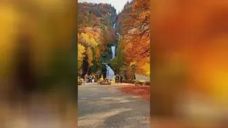 دیدنی طبیعت