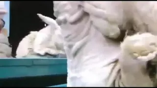 روش جدید جدا کردن پشم گوسفند بدون قیچی و تیغ