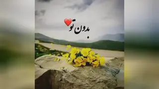 بسیار عالی کلیپ عالی و عاشقانه❤