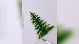 کاج کیریسمس عالیه