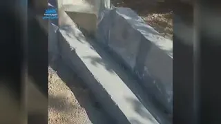 مملکت نیست که دیوانه خونه ست
