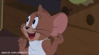 موش و گربه