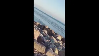 ارامش دریا🌊