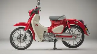 نمایندگی هوندا