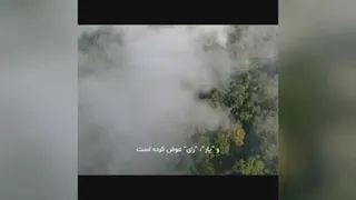 آرامش وارونه
