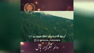 شکرگزاری