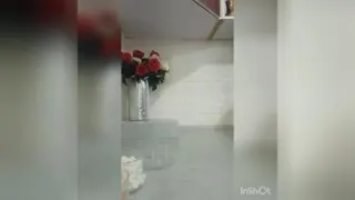 چیدمان هله هوله