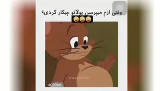 موش وگریه