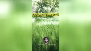 نکته بسیار مهم شعر مولانا 《محمدبصیری》