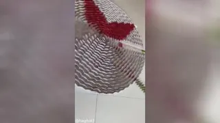 دومینو