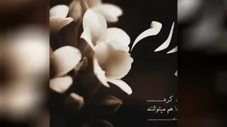 پ مثل پدر