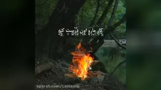 فقط خدا